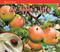 An Apple's Life by Nancy Dickmann, 9781432941505