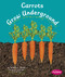 Carrots Grow Underground by Mari Schuh, Gail Saunders-Smith, 9781429661850