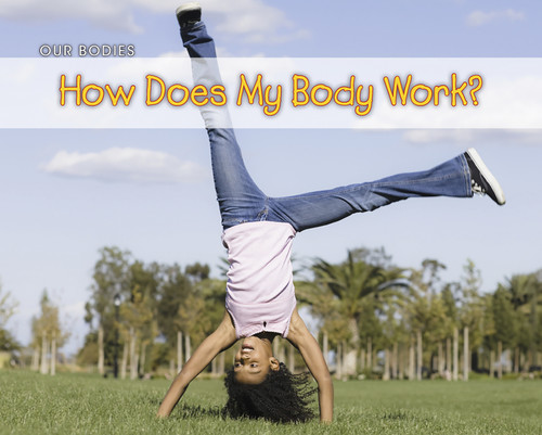 How Does Your Body Work? by Charlotte Guillain, 9781432953492