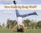 How Does Your Body Work? by Charlotte Guillain, 9781432953492