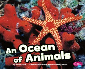 An Ocean of Animals by Janine Scott, 9781429671514
