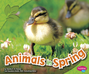 Animals in Spring by John Krenz, Martha E. H. Rustad, 9781429693585