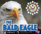 The Bald Eagle - 9781476535388 by Gail Saunders-Smith, Tyler Monroe, 9781476535388