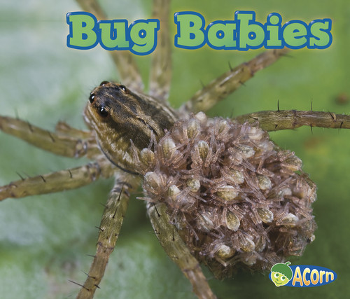Bug Babies - 9781432984205 by Catherine Veitch, 9781432984205