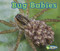 Bug Babies - 9781432984205 by Catherine Veitch, 9781432984205