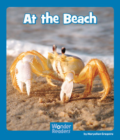 At the Beach - 9781429691956 by Maryellen Gregoire, 9781429691956