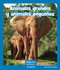 Animales grandes y animales pequeños (Big and Small Animals) (Spanish Edition) by Ann Corcorane, 9781429690638