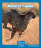 Moverse rápido (Moving Fast) (Spanish Edition) by Maryellen Gregoire, 9781429690751