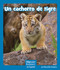 Un cachorro de tigre (Spanish Edition) by Maryellen Gregoire, 9781429698849