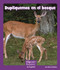 Dupliquemos en el bosque (Forest Doubles) (Spanish Edition) by Mary Lindeen, 9781429691031