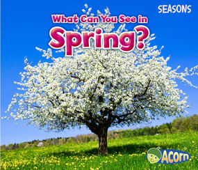 What Can You See in Spring? by Sian Smith, 9781484603543