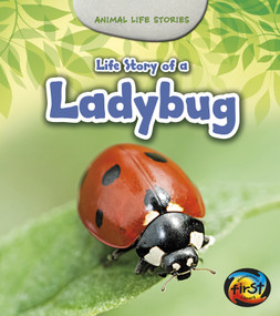 Life Story of a Ladybug by Charlotte Guillain, 9781484604939