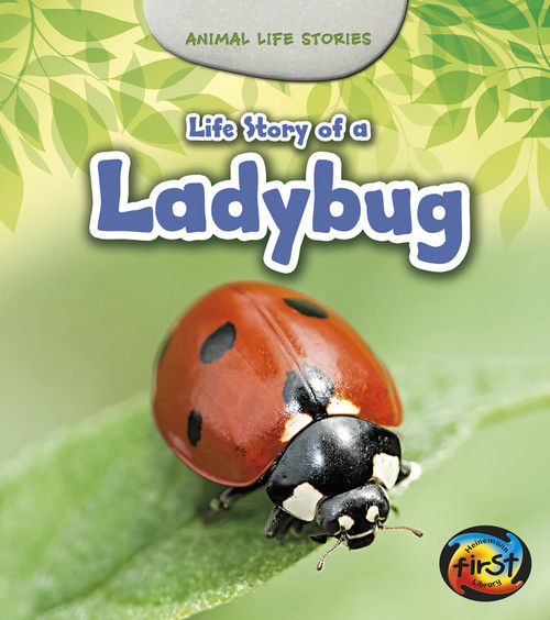 Life Story of a Ladybug by Charlotte Guillain, 9781484604939