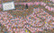 Where's Waldo? The Great Picture Hunt! by Martin Handford, Martin Handford, 9781536213072