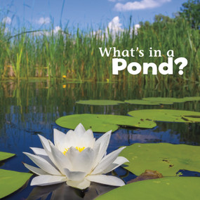 What's in a Pond? by Martha E. H. Rustad, 9781491460108