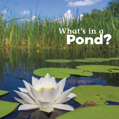What's in a Pond? by Martha E. H. Rustad, 9781491460108