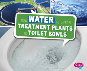How Water Gets from Treatment Plants to Toilet Bowls by Megan Cooley Peterson, 9781491484357