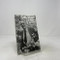 Remembering William Carlos Williams by James Laughlin, 9780811213073