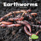 Earthworms - 9781515719427 by Lisa J. Amstutz, 9781515719427