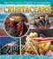 Crustaceans by Emma Bernay, Emma Carlson Berne, 9781515739234