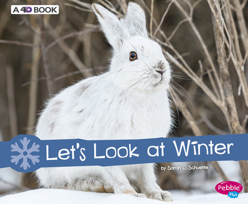 Let's Look at Winter (A 4D Book) by Sarah L. Schuette, 9781543508451