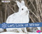 Let's Look at Winter (A 4D Book) by Sarah L. Schuette, 9781543508451