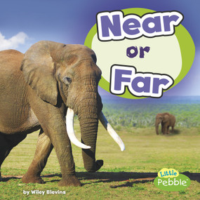 Near or Far by Wiley Blevins, 9781977103147