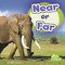 Near or Far by Wiley Blevins, 9781977103147