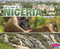 Let's Look at Nigeria by Mary Meinking, 9781543572124