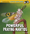 Powerful Praying Mantids - 9781977117908 by Melissa Higgins, 9781977117908