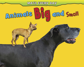 Animals Big and Small - 9781432957384 by Daniel Nunn, Rebecca Rissman, 9781432957384