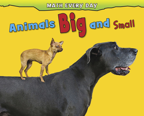 Animals Big and Small - 9781432957384 by Daniel Nunn, Rebecca Rissman, 9781432957384