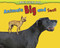 Animals Big and Small - 9781432957384 by Daniel Nunn, Rebecca Rissman, 9781432957384