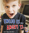 Enojo es.../Angry Is... (Bilingual Edition) by Strictly Spanish, LLC., Connie Colwell Miller, 9781620651544