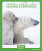 Adding Animals - 9781476500324 by Maria Alaina, 9781476500324