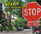 Signs in My Neighborhood - 9781620658895 by Gail Saunders-Smith, Shelly Lyons, 9781620658895