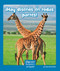 ¡Hay diseños en todas partes! (Patterns Everywhere) (Spanish Edition) by Ann Corcorane, 9781429690782