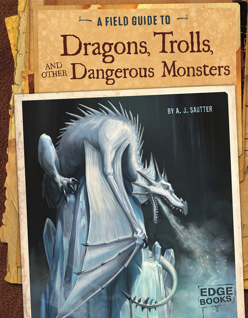 A Field Guide to Dragons, Trolls, and Other Dangerous Monsters by Colin Ashcroft, Martín Bustamante, Tom McGrath, A. J. Sautter, 9781491406915