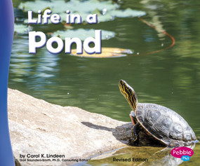 Life in a Pond by Carol K. Lindeen, 9781515734635
