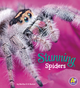 Stunning Spiders - 9781515745044 by Martha E. H. Rustad, 9781515745044