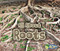All About Roots - 9781484638484 by Claire Throp, 9781484638484