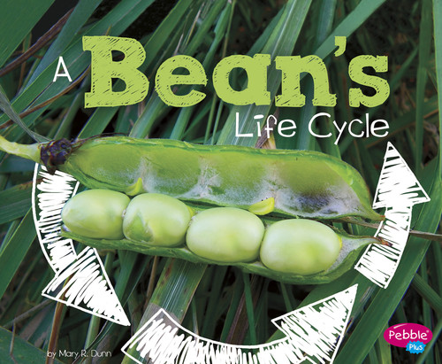 A Bean's Life Cycle - 9781515770572 by Mary R. Dunn, 9781515770572