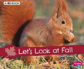 Let's Look at Fall (A 4D Book) - 9781543508765 by Sarah L. Schuette, 9781543508765