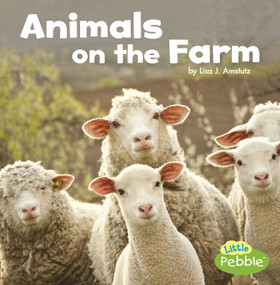 Animals on the Farm - 9781977105363 by Lisa J. Amstutz, 9781977105363