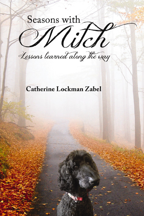 Seasons With Mitch (Lessons learned along the way) by Catherine  Lockman Zabel, 9781400324910