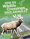 How Do Wildlife Crossings Save Animals? by Clara MacCarald, 9781543541380