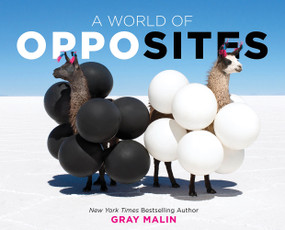A World of Opposites (A Picture Book) by Gray Malin, 9781419739705