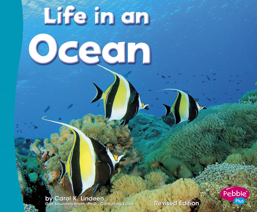 Life In an Ocean by Carol K. Lindeen, 9781515736936