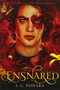 Ensnared (UK edition) (Splintered Book Three) by A. G. Howard, 9781419715044