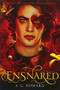 Ensnared (UK edition) (Splintered Book Three) by A. G. Howard, 9781419715044